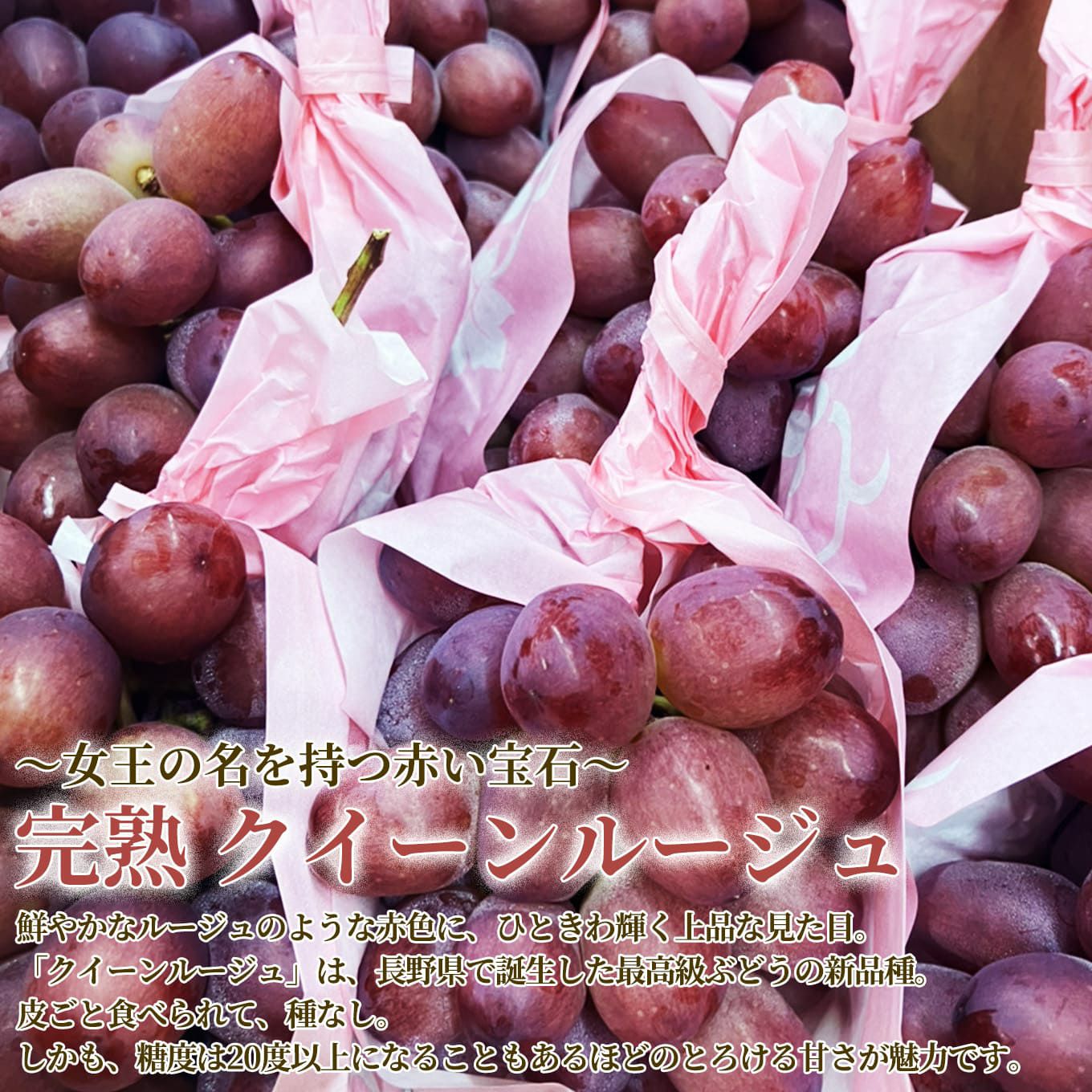 完熟　クイーンルージュ　１房（約500ｇ前後） 【送料無料】