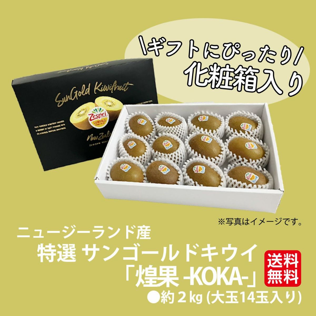 ニュージーランド産　特選サンゴールドキウイ 「煌果-KOKA-」約2kg(大玉14玉)化粧箱入り