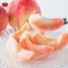  山形県産　完熟 白桃　約2kg（6～10玉入り）ご家庭用：簡易箱 【送料無料】