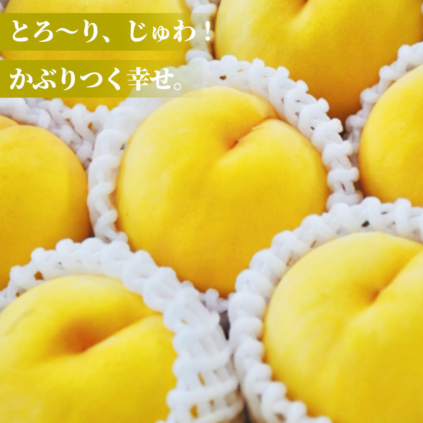  山形県産　完熟 黄桃　約2kg（7～10玉入り）ご家庭用：簡易箱 【送料無料】