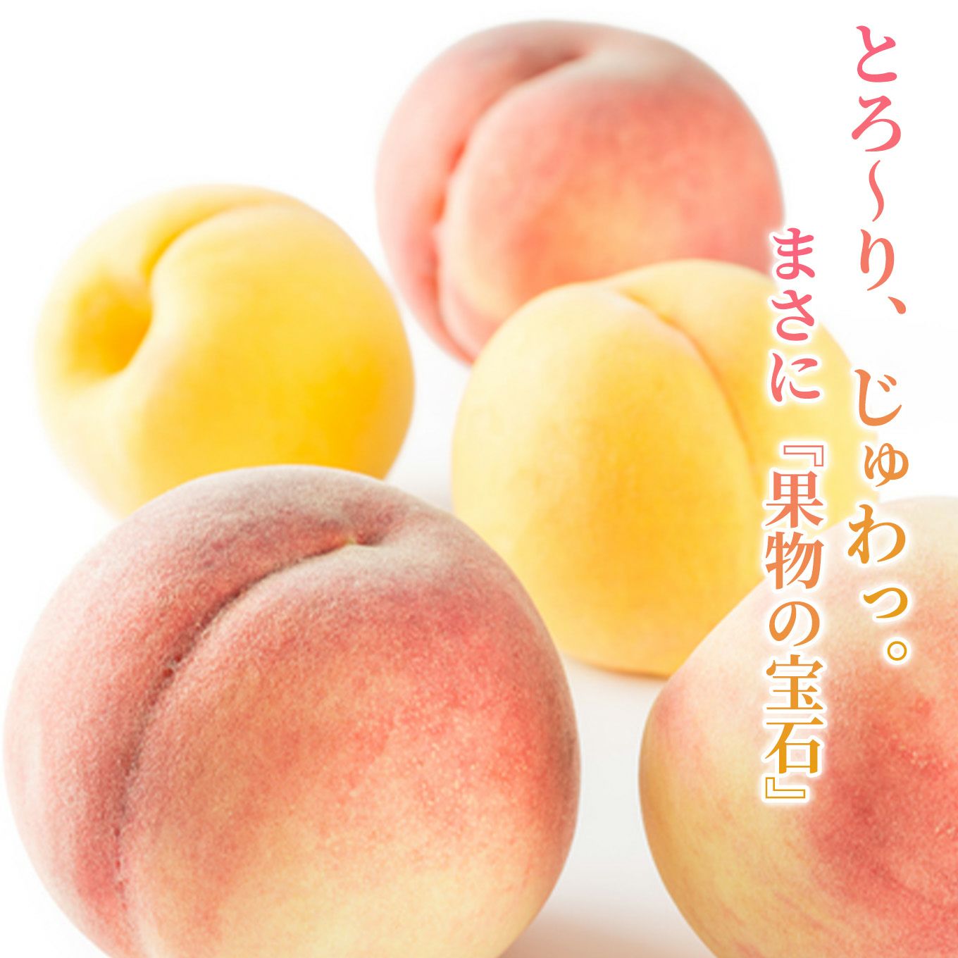 山形県産　完熟 白桃・黄桃 詰め合わせ 約2kg（5～10玉入り）秀品：化粧箱 【送料無料】