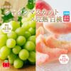 山形県産　シャインマスカット×完熟 白桃 約2kg【送料無料】