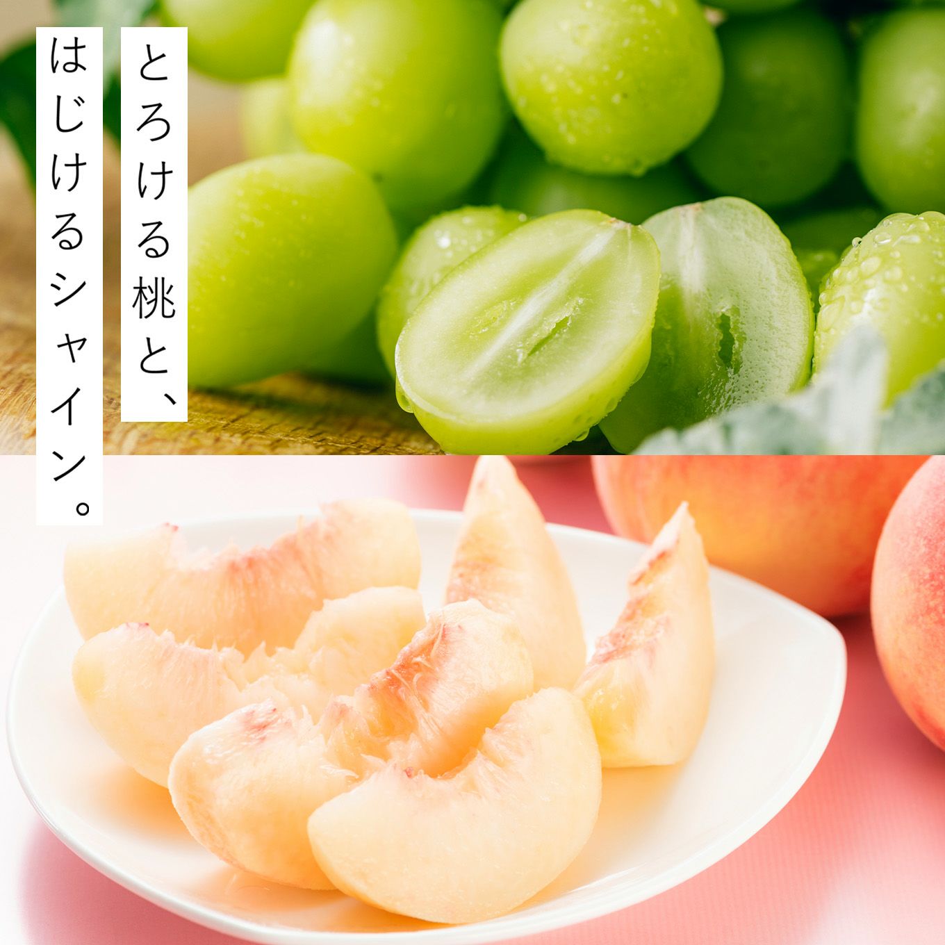 山形県産　シャインマスカット×完熟 白桃 約2kg【送料無料】