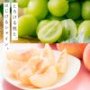 山形県産　シャインマスカット×完熟 白桃 約2kg【送料無料】