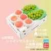 山形県産　シャインマスカット×完熟 白桃 約2kg【送料無料】