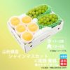 山形県産　シャインマスカット×完熟 黄桃 約2kg【送料無料】