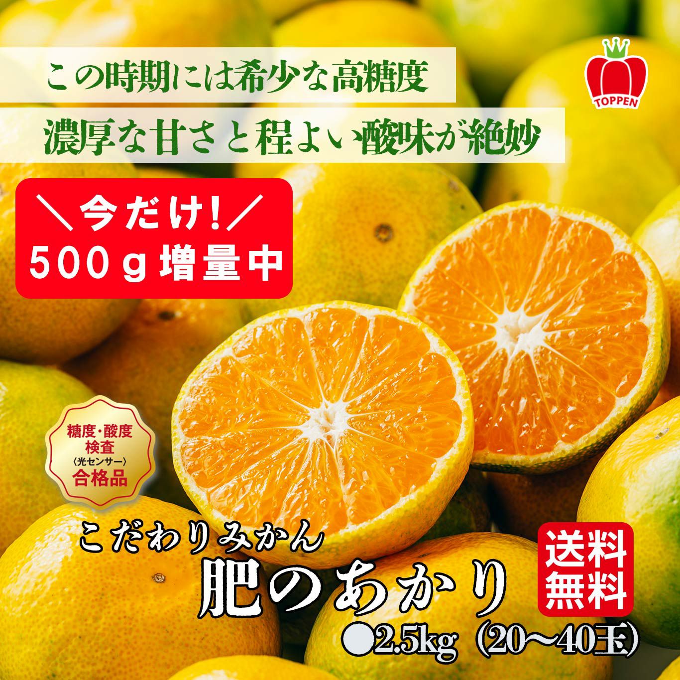 こだわりみかん「肥のあかり」 約2.5kg（20～45玉入 Ｌ～2Sサイズ）【送料無料】
