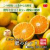 こだわりみかん「肥のあかり」 約2.5kg（20～45玉入 Ｌ～2Sサイズ）【送料無料】