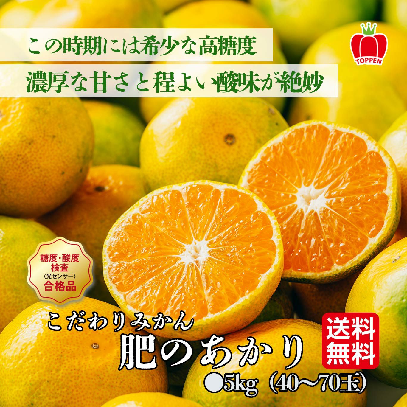 こだわりみかん「肥のあかり」 約5kg（40～90玉入 Ｌ～２Sサイズ）【送料無料】