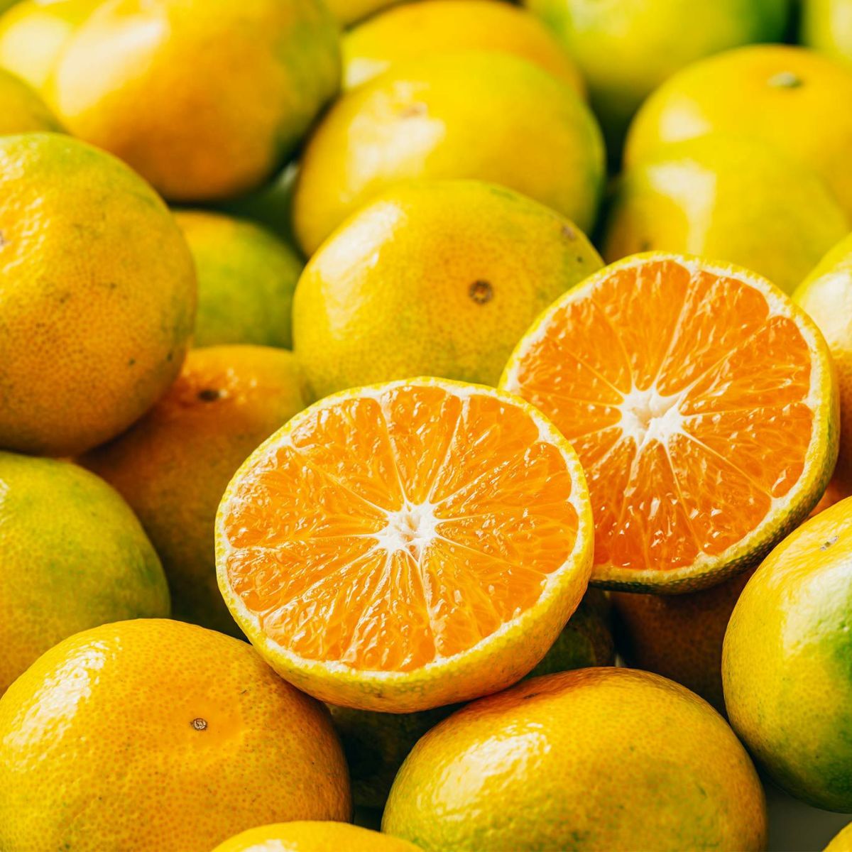 こだわりみかん「肥のあかり」 約5kg（40～90玉入 Ｌ～２Sサイズ）【送料無料】