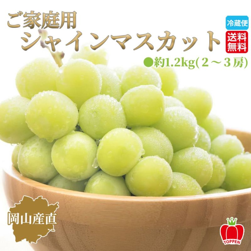 岡山県産直　ご家庭用シャインマスカット 約1.2kg(2～3房)【送料無料】