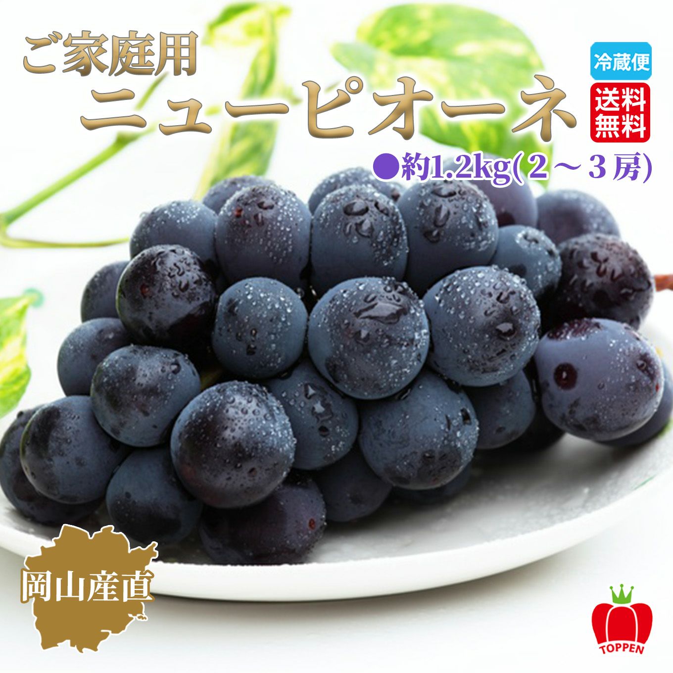 岡山県産直　ご家庭用ニューピオーネ 約1.2kg(2～3房)【送料無料】
