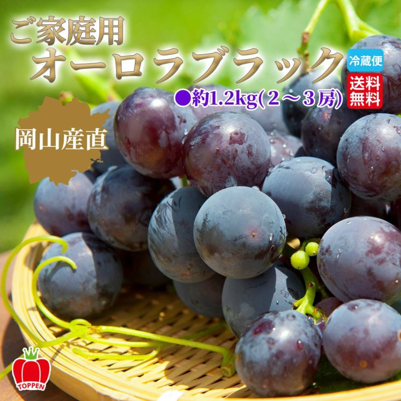  岡山県産直　ご家庭用オーロラブラック 約1.2kg(2～3房)【送料無料】