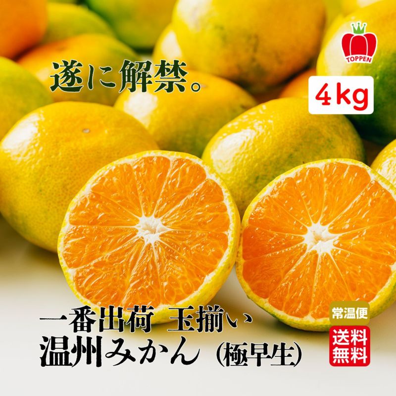 一番出荷　温州みかん（極早生） 約4kg（30～40玉前後 L・Mサイズ／玉揃い）【送料無料】