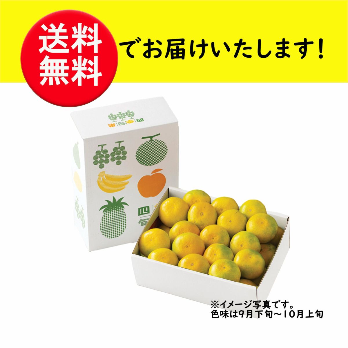 一番出荷　温州みかん（極早生） 約4kg（30～40玉前後 L・Mサイズ／玉揃い）【送料無料】