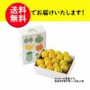 一番出荷　温州みかん（極早生） 約4kg（30～40玉前後 L・Mサイズ／玉揃い）【送料無料】
