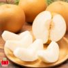 山形県産　完熟 和梨 約３kg