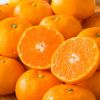 ≪初回限定！ご自宅お試し価格≫完熟濃蜜みかん 約2kg（12～35玉／大小混合）※同一住所に２箱以上で送料無料!!