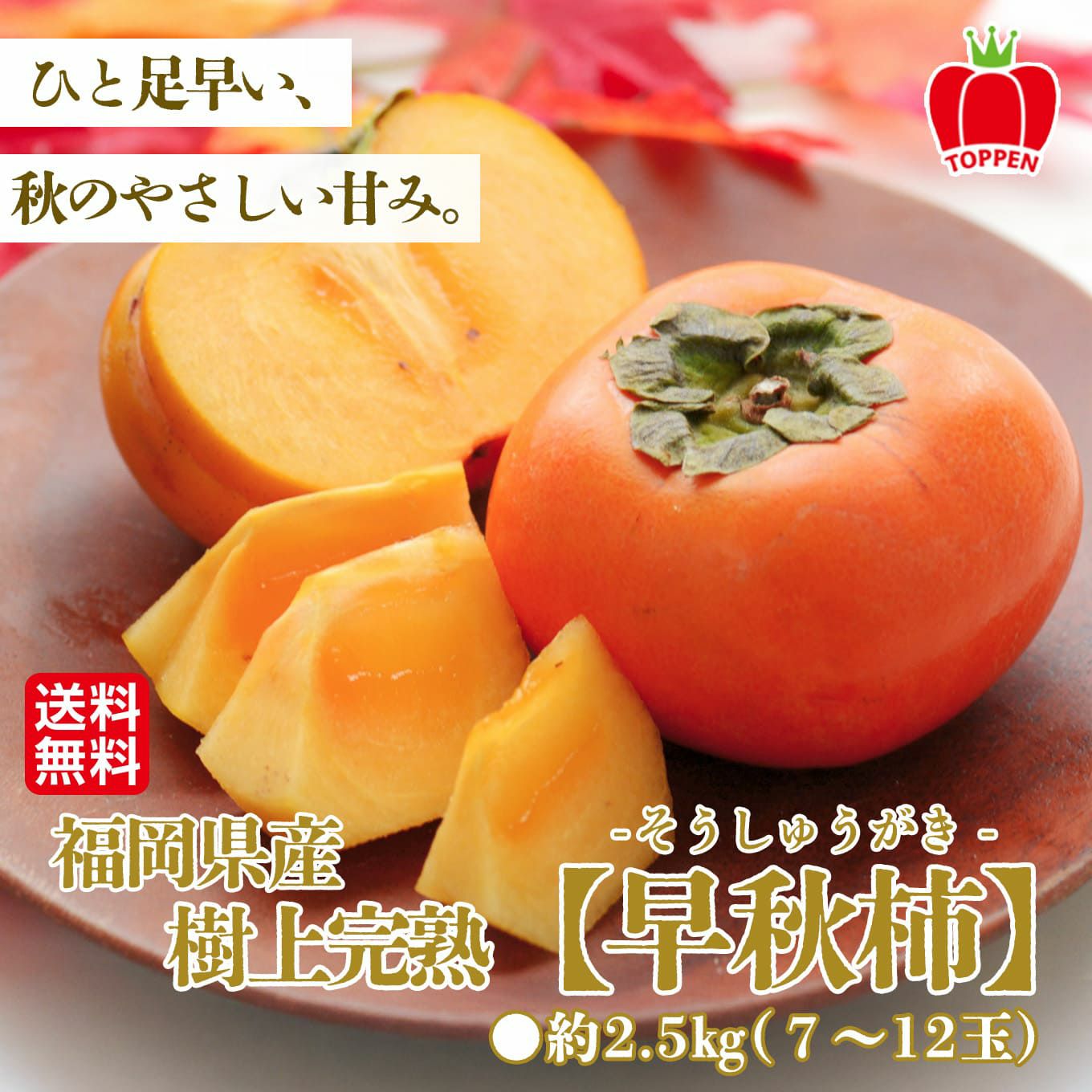 樹上完熟　早秋柿　約2.5ｋｇ（７～12玉）【送料無料】