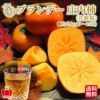 山形県産直 ブランデー庄内柿　約2kｇ（９～15玉）【送料無料】