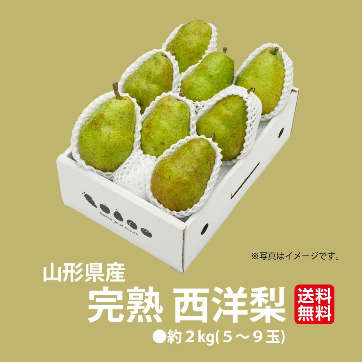 山形県産直　完熟 西洋梨 約２kg(５～９玉)【送料無料】