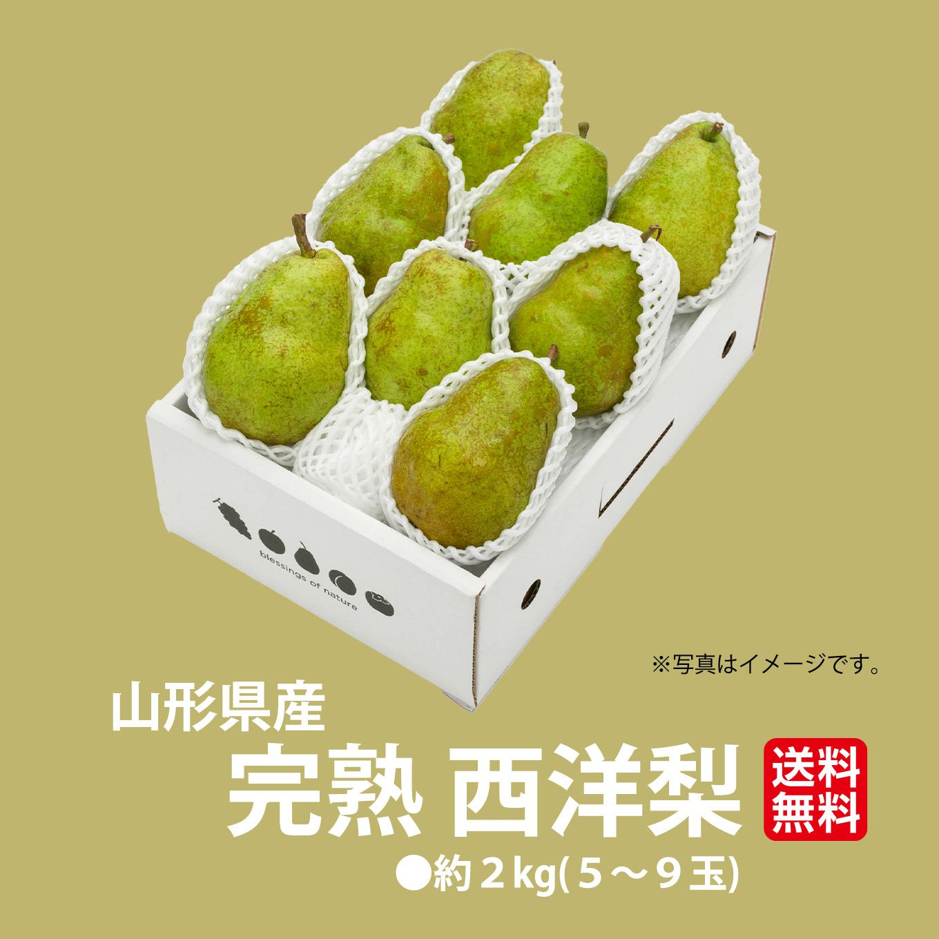 山形県産直　完熟 西洋梨 約２kg(５～９玉)【送料無料】