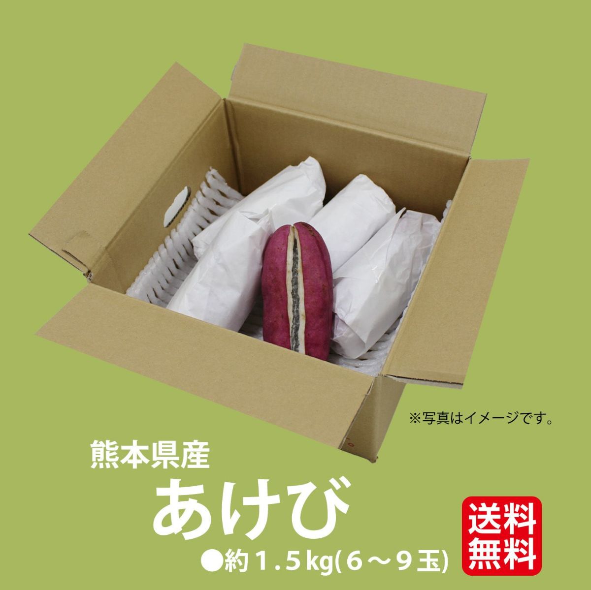  熊本県産　あけび　1.5kg（６～９玉） 【送料無料】