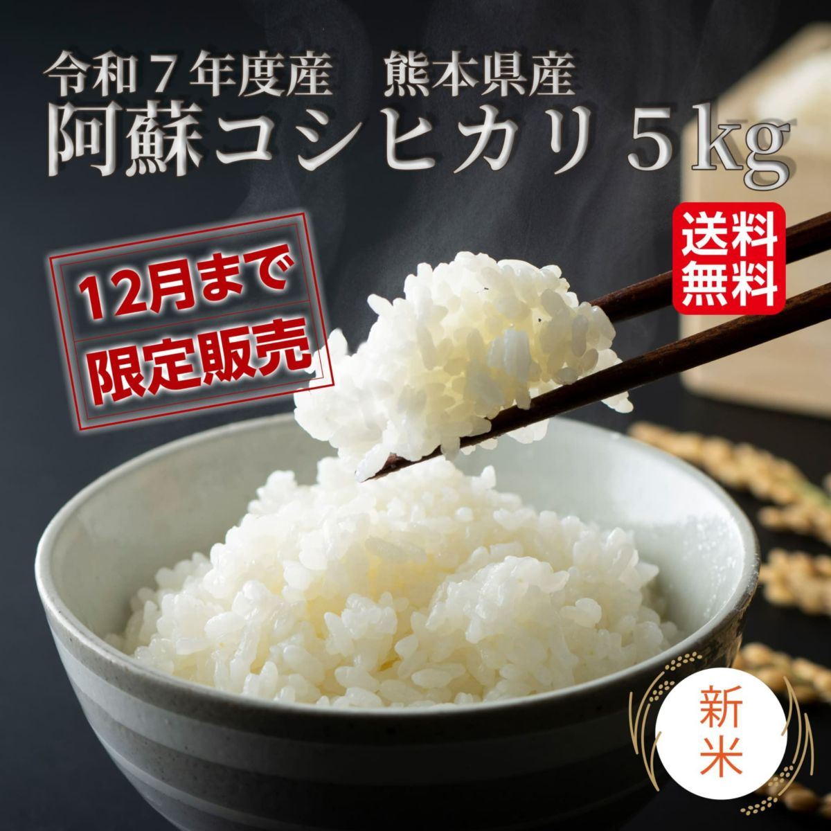 令和７年度産　 阿蘇コシヒカリ 5kg【送料無料】