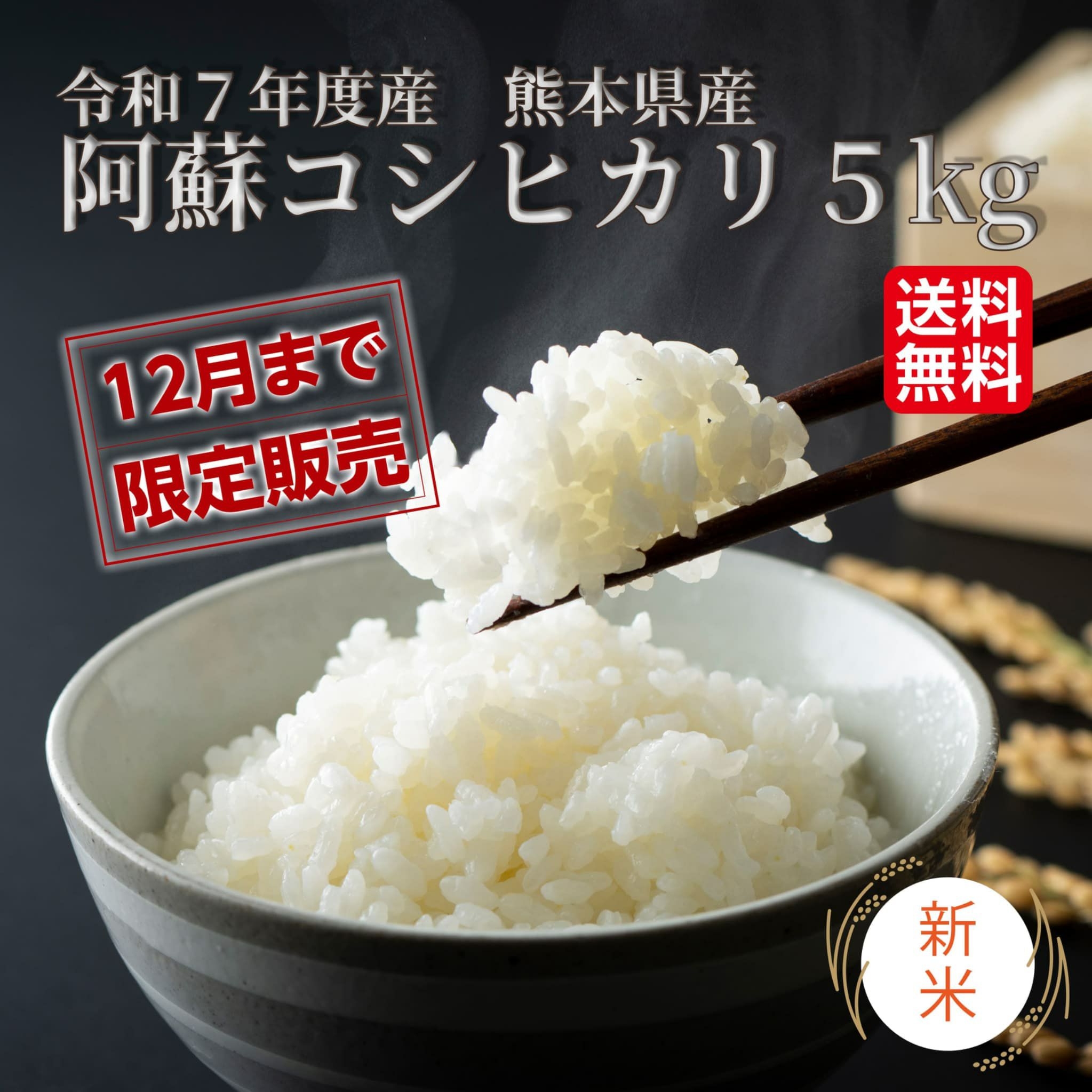 令和７年度産　 阿蘇コシヒカリ 5kg【送料無料】