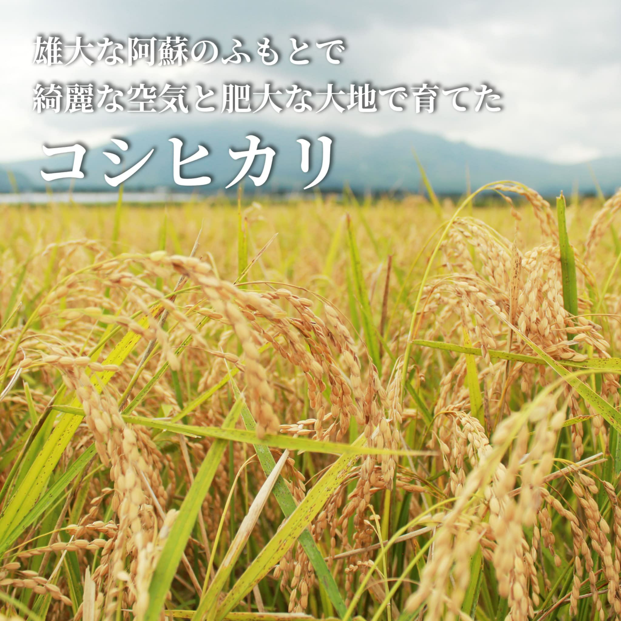 令和７年度産　 阿蘇コシヒカリ 5kg【送料無料】