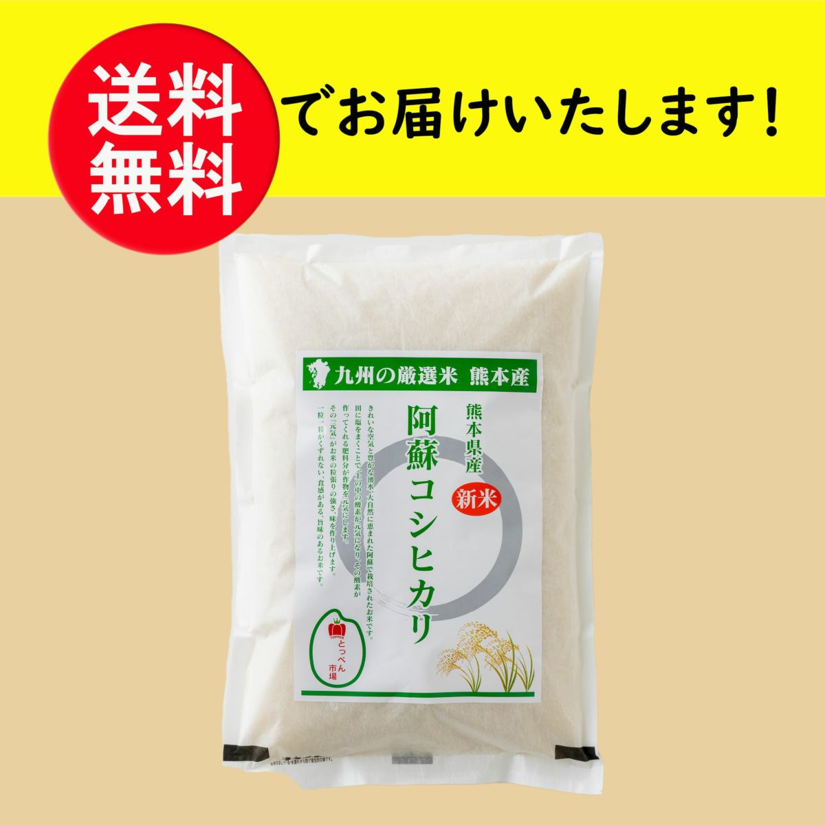 令和７年度産　 阿蘇コシヒカリ 5kg【送料無料】