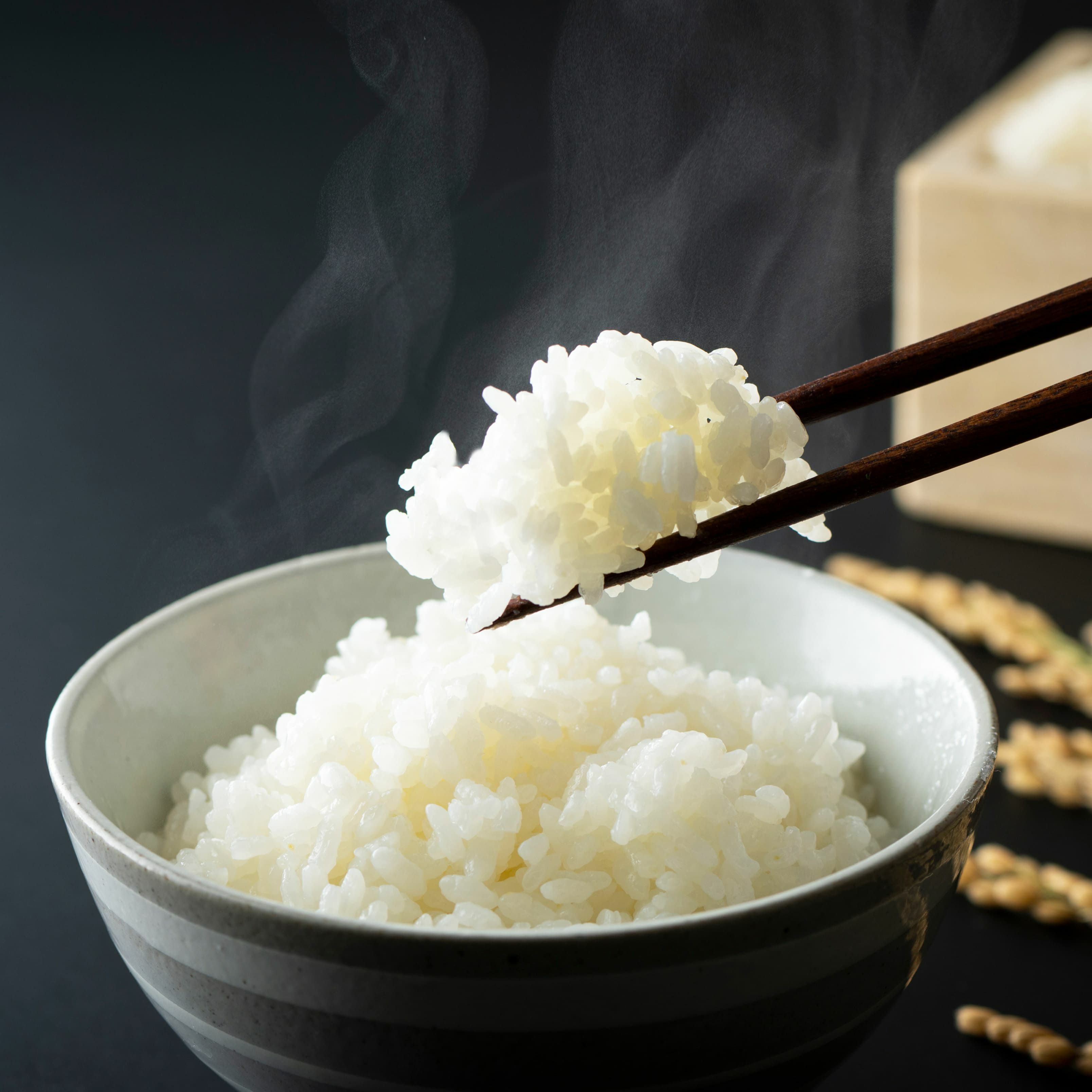 令和７年度産　 阿蘇コシヒカリ 5kg【送料無料】