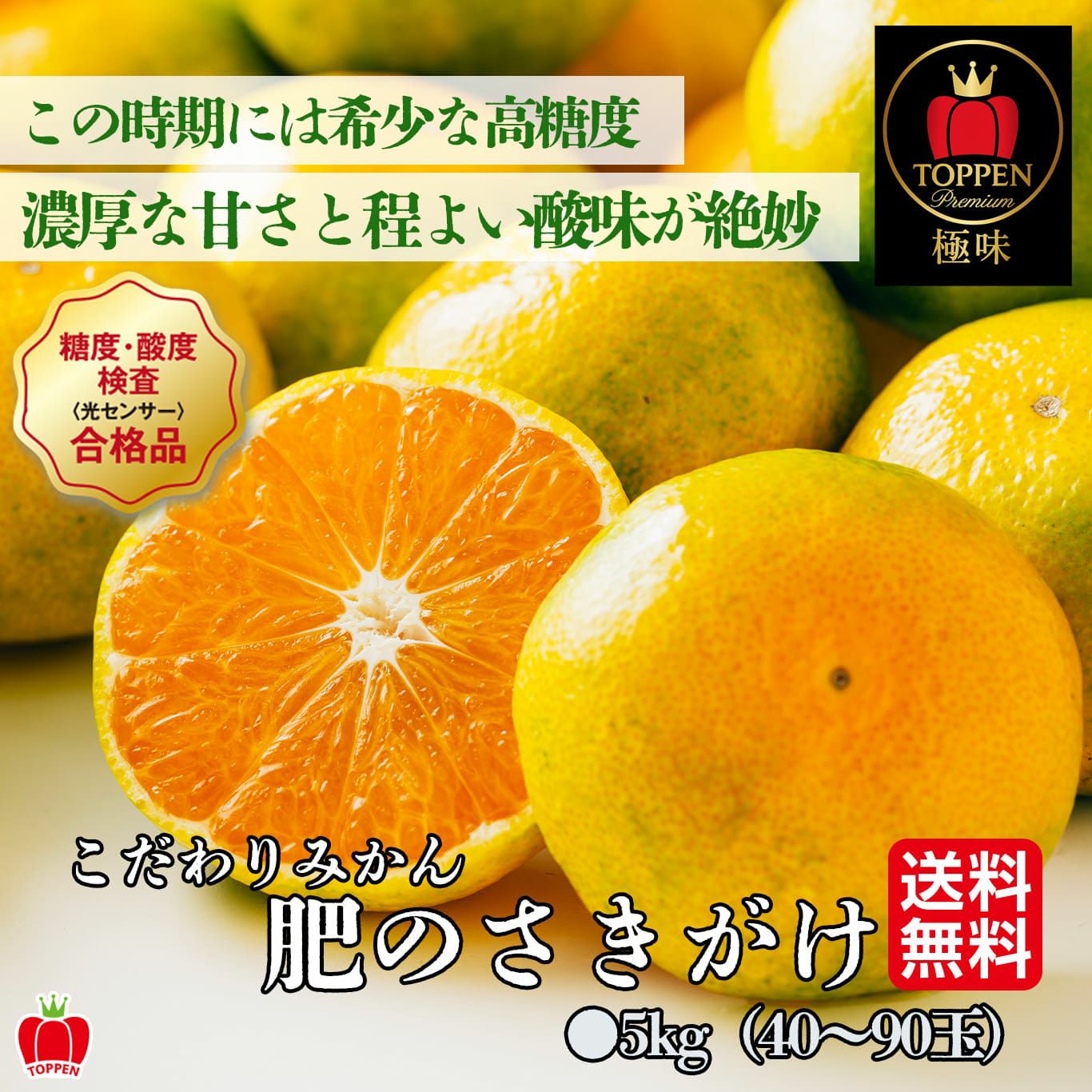 ≪とっぺん極味シリーズ≫こだわりみかん「肥のさきがけ」 約５kg（40～90玉入）【送料無料】