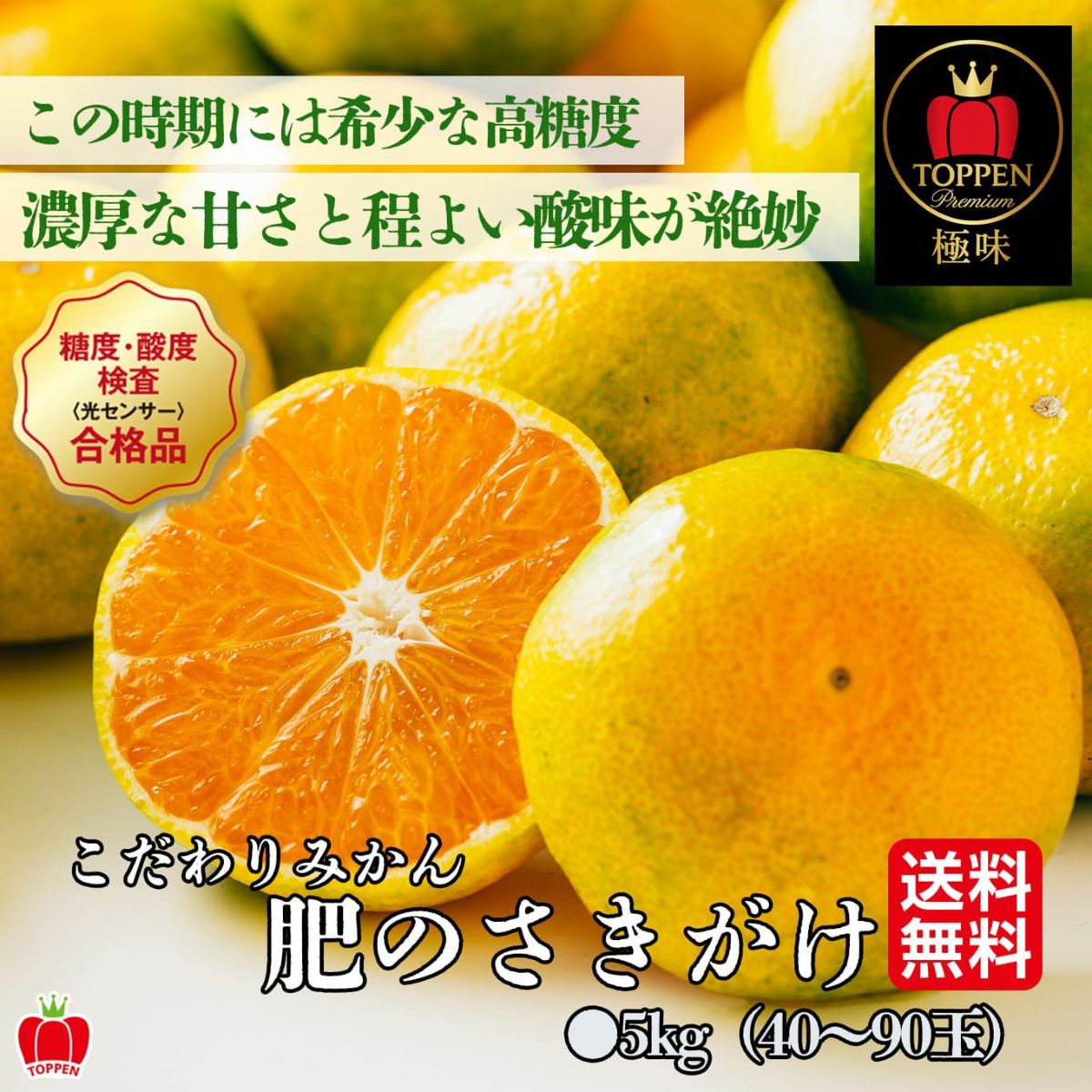 ≪とっぺん極味シリーズ≫こだわりみかん「肥のさきがけ」 約５kg（40～90玉入）【送料無料】