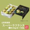 《極味シリーズ》山形県産直　スーパーラフランス　約３kg(８～１０玉)【送料無料】