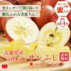 完熟　蜜入りサンふじ 　約3kg（8～12玉入）【送料無料】