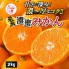 完熟濃蜜みかん 約2kg（12～35玉／大小混合）
