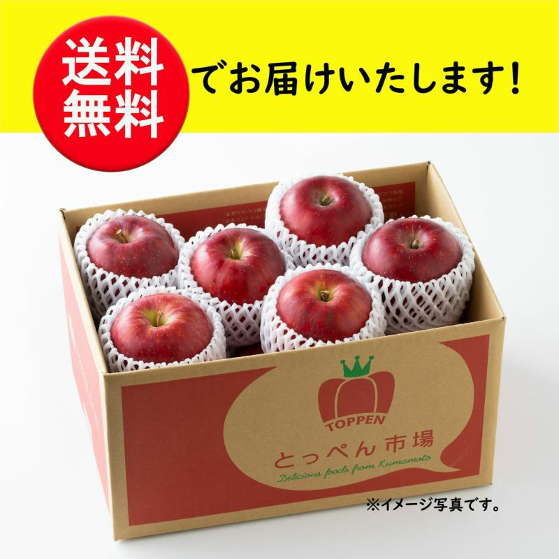  りんごづくし定期便≪2.5ｋｇ（7～10玉）／月1回お届け：11月～1月／期間限定≫【毎月一律価格・送料無料】