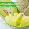 杉本農園さんのアールスメロン　 2玉入り【送料無料】
