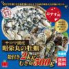 ≪期間限定≫サロマ湖産　昭栄丸の牡蠣　殻付き２kg ＋むき身 500g【送料無料】≪冷蔵便≫