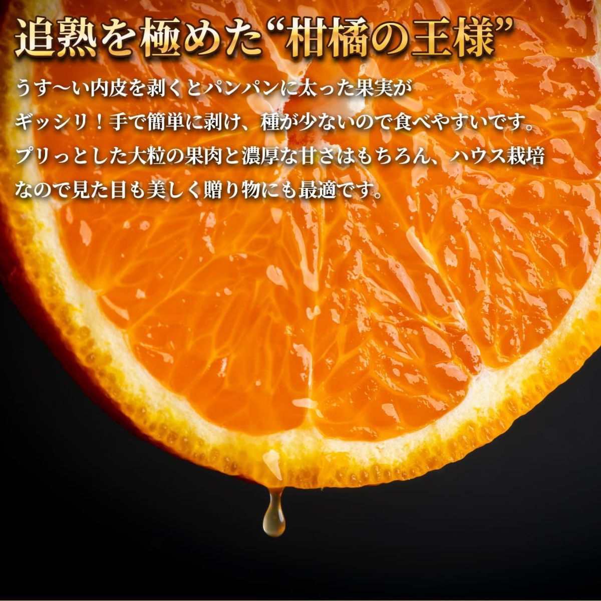  完熟　ハウス不知火おでこ　約4.5kg（15～22玉）【送料無料】