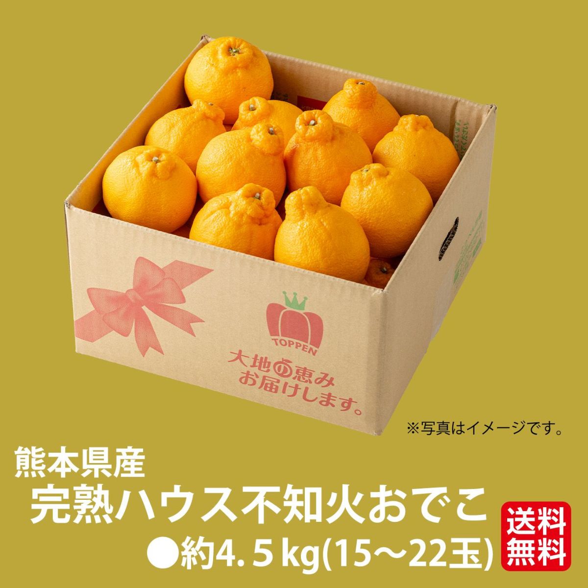  完熟　ハウス不知火おでこ　約4.5kg（15～22玉）【送料無料】