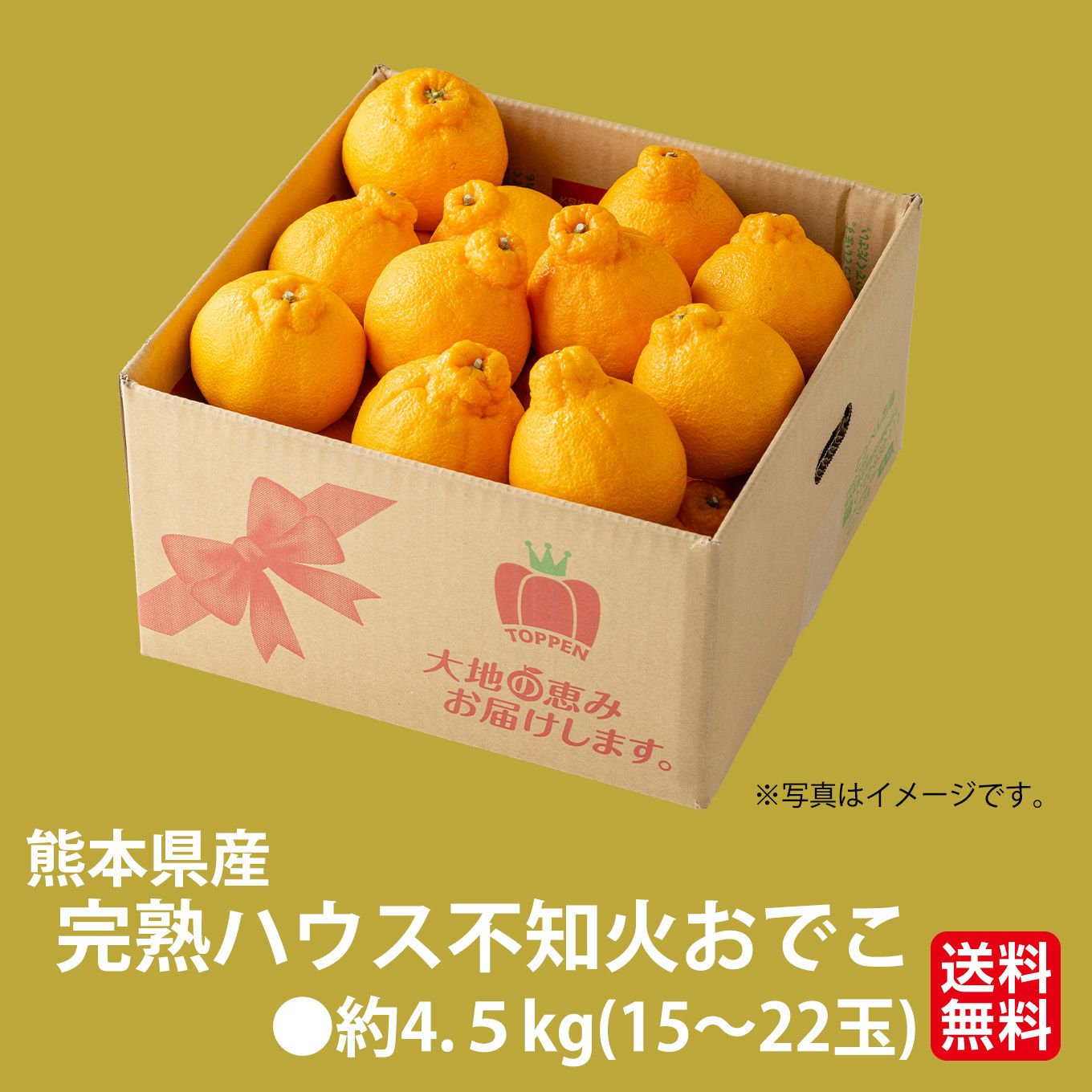  完熟　ハウス不知火おでこ　約4.5kg（15～22玉）【送料無料】