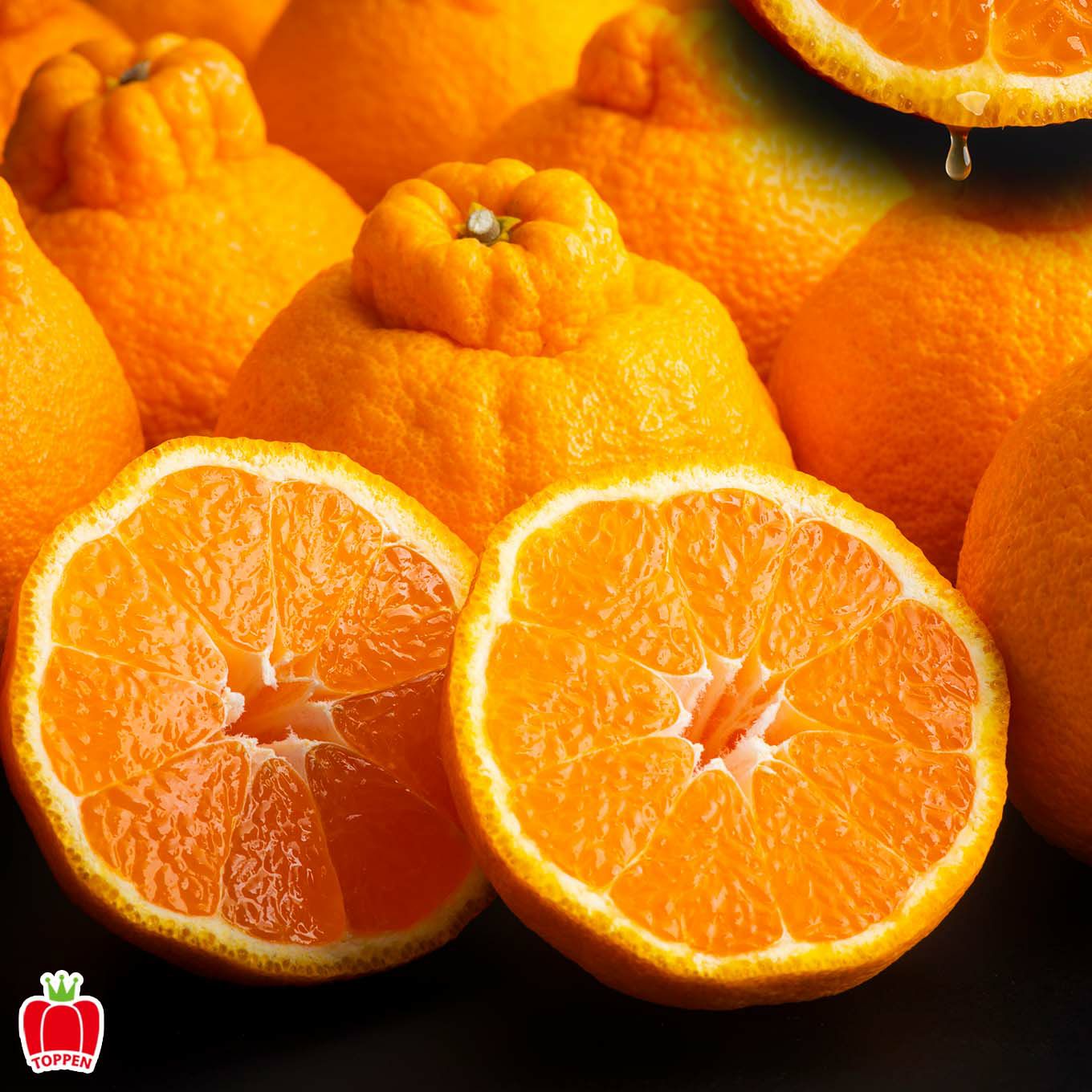  完熟　ハウス不知火おでこ　約4.5kg（15～22玉）【送料無料】