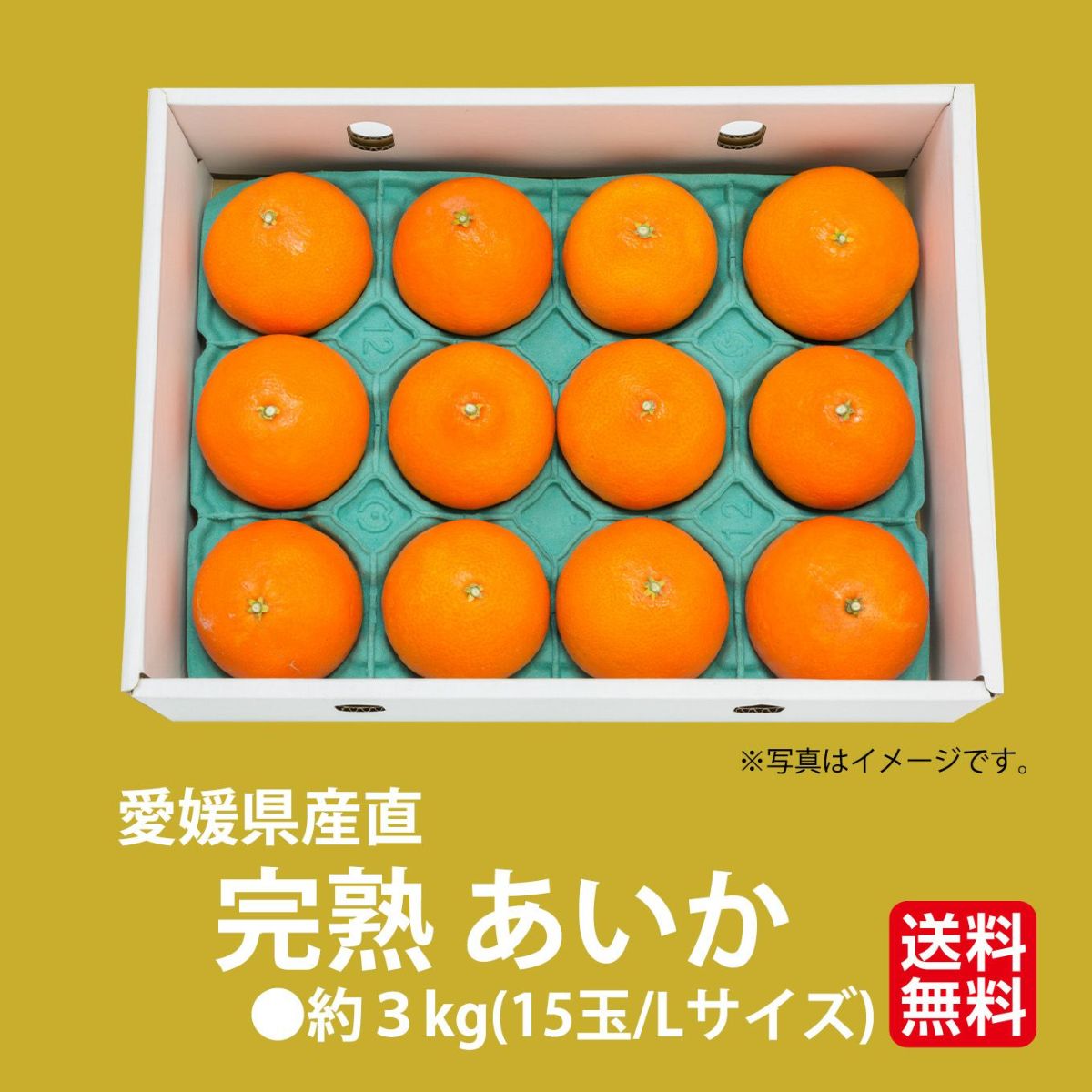 愛媛県産直！完熟あいか　3ｋｇ（15玉/ L）【送料無料】