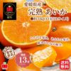 愛媛県産直！完熟あいか　3ｋｇ（12玉／2L）【送料無料】