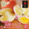 《極味シリーズ》山形県産　高徳りんご　3ｋｇ（8～14玉／化粧箱）【送料無料】