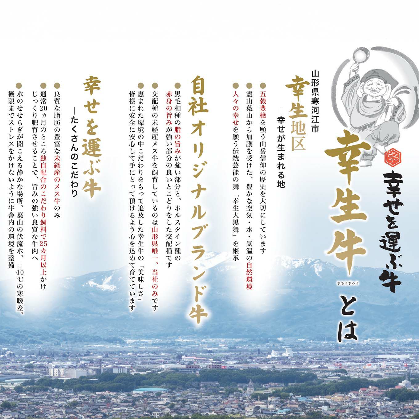 幸生牛カルビ焼肉　（約500ｇ）【送料無料】≪冷凍便≫※産地直送のため他の商品と同梱できません