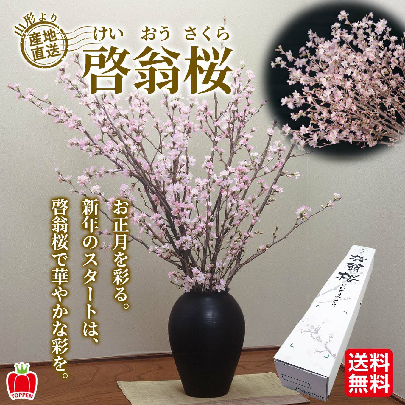 山形県産　啓扇桜（60～80cm×7本）【送料無料】※産地直送のため他の商品と同梱できません