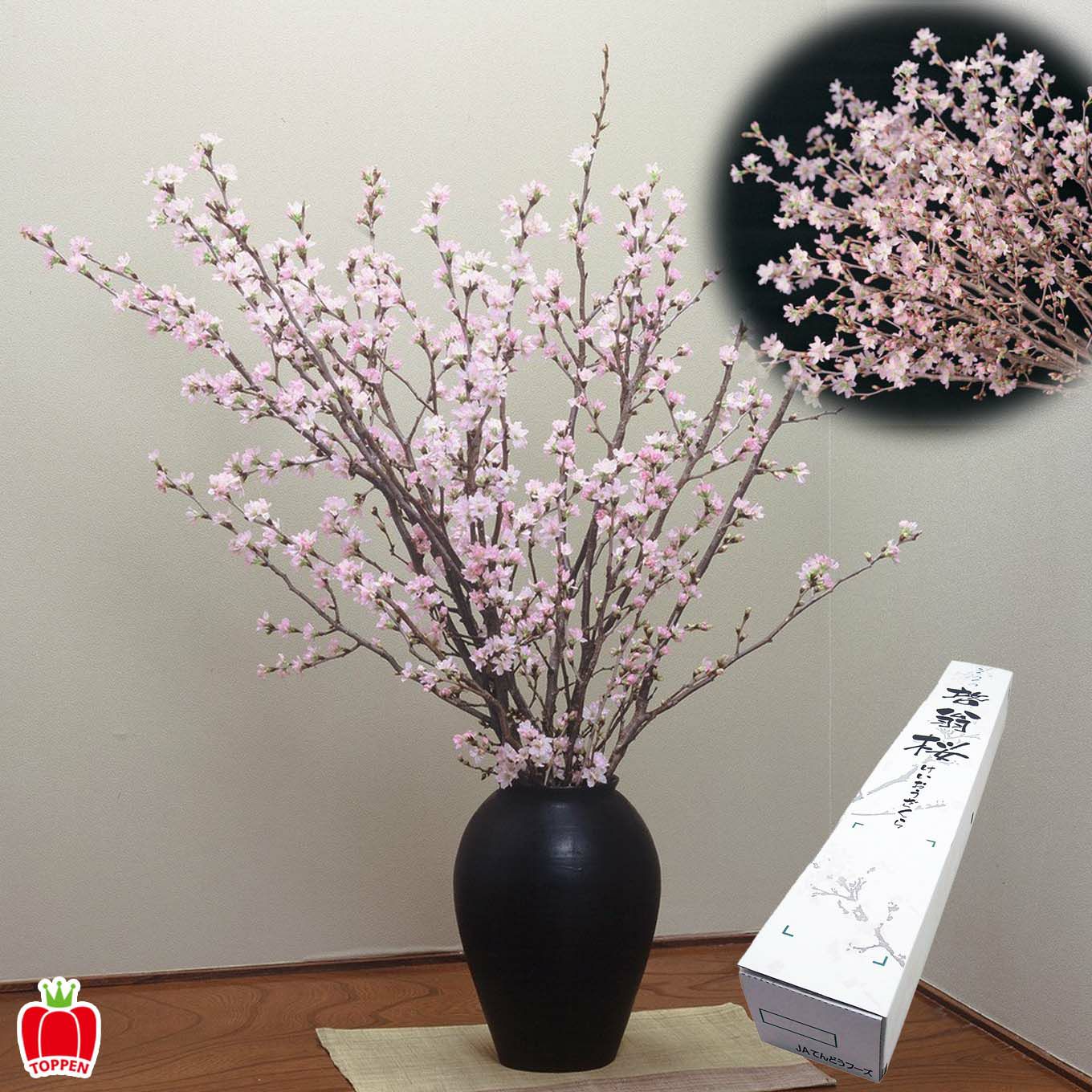 山形県産　啓扇桜（60～80cm×7本）【送料無料】※産地直送のため他の商品と同梱できません